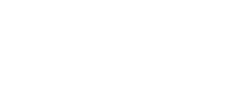 logo light